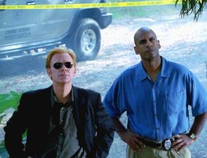 CSI: Miami - Der Tote am Baum