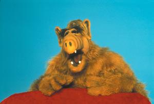 Alf - Mit den besten Wünschen aus dem Jenseits