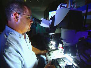 Medical Detectives - Geheimnisse der Gerichtsmedizin - Last der Beweise
