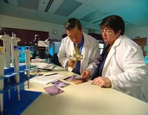 Medical Detectives - Geheimnisse der Gerichtsmedizin - Tödliche Arrangements