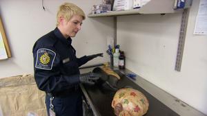 Border Patrol Canada - Einsatz an der Grenze - Der Weltenbummler