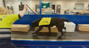 Achtung, Zoll! Willkommen in Australien -