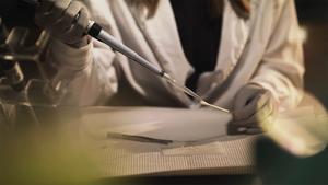 Medical Detectives - Geheimnisse der Gerichtsmedizin - Tödliche Affären