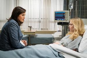 Law & Order: Special Victims Unit - Unter Kollegen