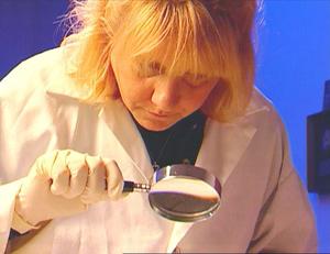 Medical Detectives - Geheimnisse der Gerichtsmedizin - Suche nach Wahrheit