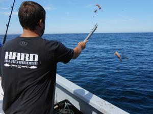 Wicked Tuna - Die Hochsee-Cowboys - Schachmatt