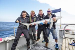 Fishing Impossible - Haie in englischen Gewässern