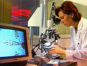 Medical Detectives - Geheimnisse der Gerichtsmedizin - Zeugen der Anklage