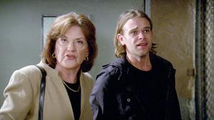 Law & Order: Special Victims Unit - Zebras