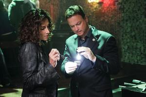 CSI: New York - Schnitzeljagd