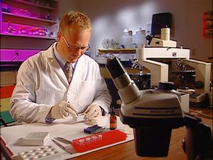 Medical Detectives - Geheimnisse der Gerichtsmedizin - Freundschaften